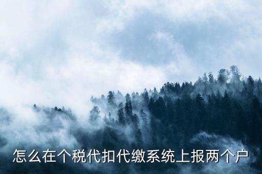 怎么在個稅代扣代繳系統上報兩個戶