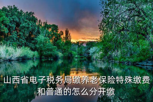 山西省電子稅務局繳養老保險特殊繳費和普通的怎么分開繳