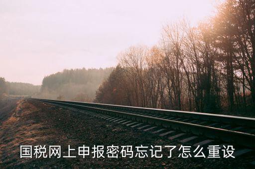 網上稅務局登錄密碼如何重置，國稅網上申報密碼忘記了怎么重設