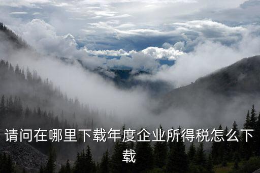 請問在哪里下載年度企業所得稅怎么下載