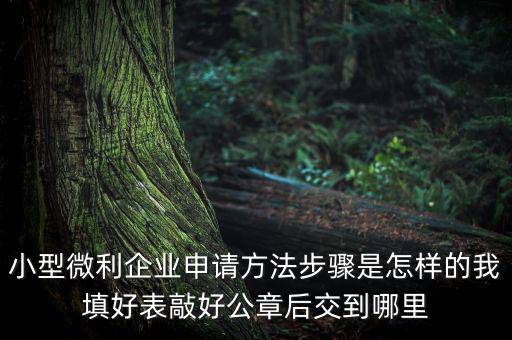 小型微利企業申請方法步驟是怎樣的我填好表敲好公章后交到哪里