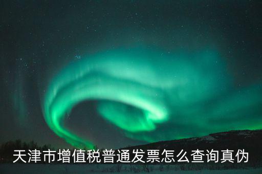 天津市增值稅普通發票怎么查詢真偽