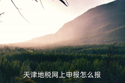 天津地稅網上申報怎么報
