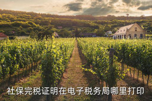 重慶電子稅務局如何打印社保，社保發票在電子稅務局哪里打印