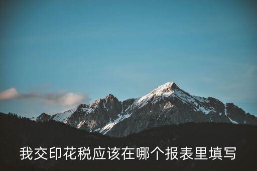 網上印花稅表如何填寫，印花稅申報報表要怎么填啊