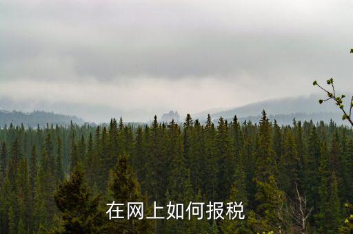 在網上如何報稅
