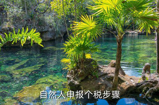 如何使用自然人納稅系統，新辦企業怎樣登錄自然人電子稅務局扣繳端