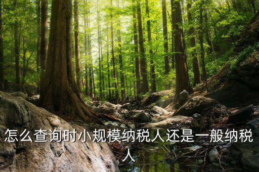 如何查詢成為納稅人時間，怎么查詢時小規模納稅人還是一般納稅人