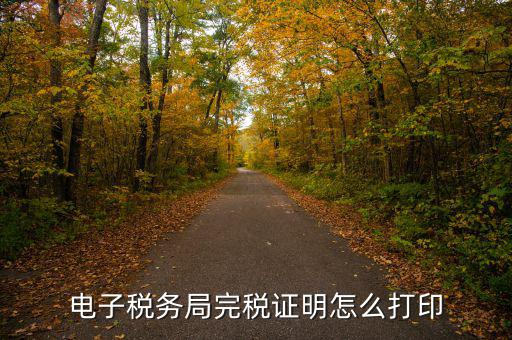 福建省網上稅務局如何打印，電子稅務局完稅證明怎么打印