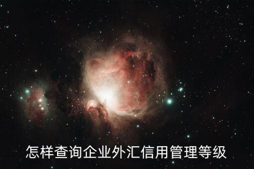 如何查詢企業信用等級，怎樣查詢企業外匯信用管理等級