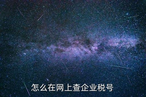 怎么在網上查企業稅號