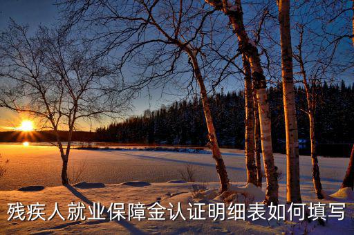 殘疾人就業保障金認證明細表如何填寫