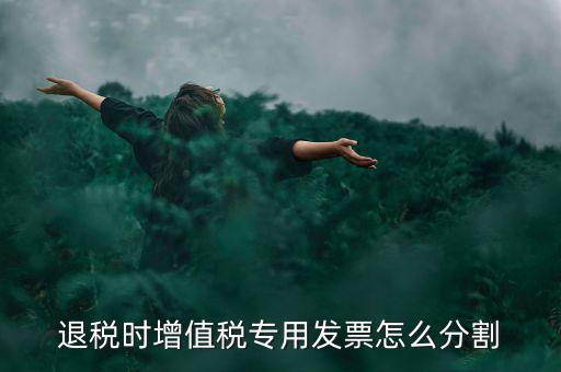 申報退稅如何分批，同一個退稅申報期內可以申報2個批次嗎