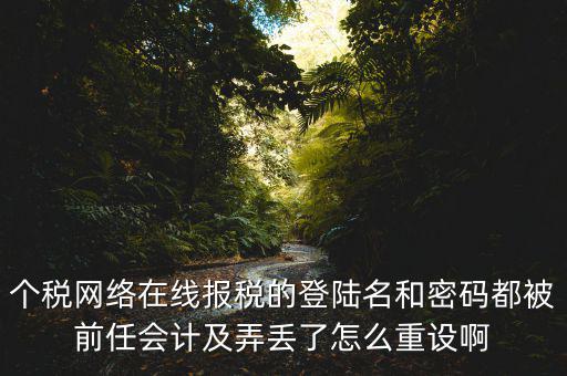 個稅網絡在線報稅的登陸名和密碼都被前任會計及弄丟了怎么重設啊