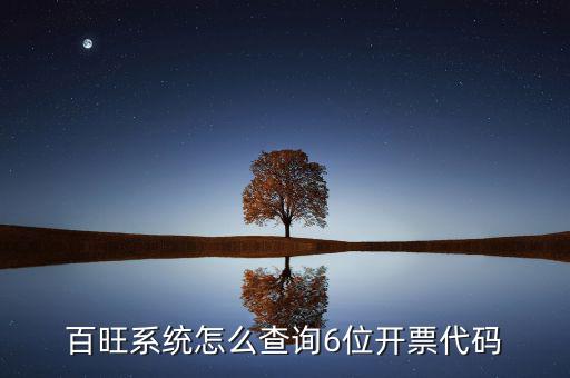 如何獲取開票代碼，增值稅專用發票開票時輸開票碼是怎么操作