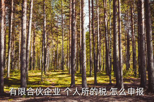 合伙企業個稅如何申報表，有限合伙企業 個人所的稅 怎么申報