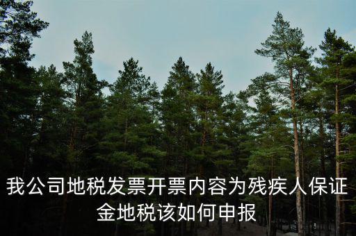 我公司地稅發票開票內容為殘疾人保證金地稅該如何申報