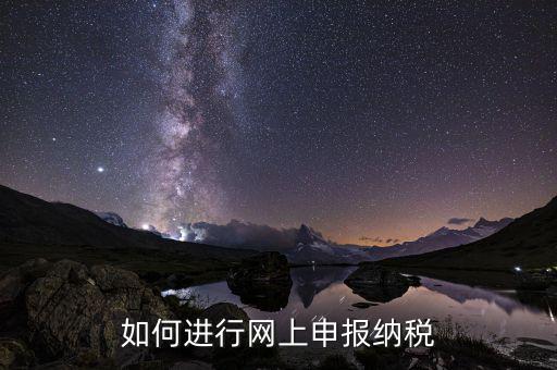 如何設置稅務網站，如何進行網上申報納稅