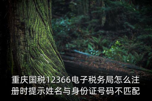 重慶國稅12366電子稅務局怎么注冊時提示姓名與身份證號碼不匹配