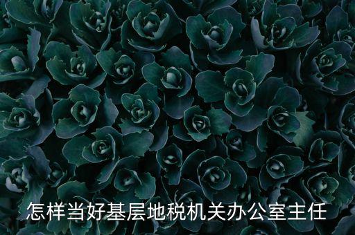 稅務部門如何抓好主體責任，如何做好稅收法規工作