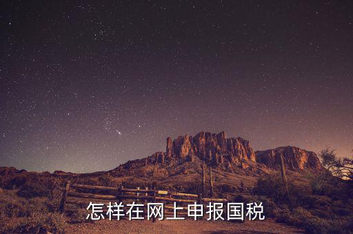 怎樣在網(wǎng)上申報(bào)國稅