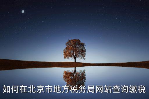北京地稅官網如何注冊個人登錄，個人所得稅網上申報流程