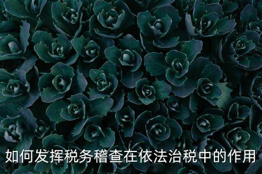 稽查部門如何優化稅收營商環境，如何充分發揮稽查職能作用更好服務于全省稅收征管工作發展大局