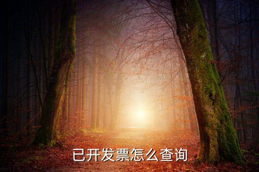 已開發票怎么查詢