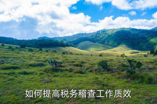 如何提高國稅稽查工作質(zhì)效，如何提高稅務稽查工作質(zhì)效