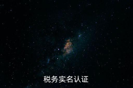 稅務實名認證