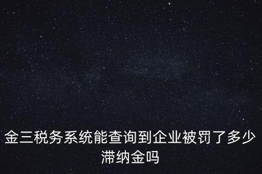 金三稅務系統(tǒng)能查詢到企業(yè)被罰了多少滯納金嗎