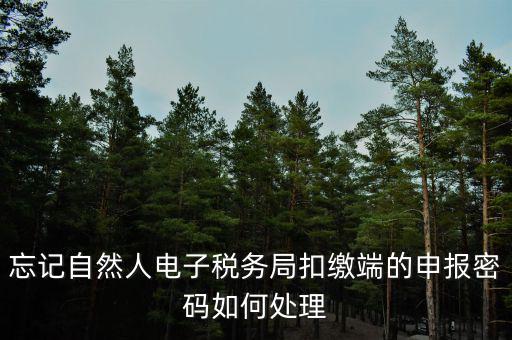 忘記自然人電子稅務局扣繳端的申報密碼如何處理