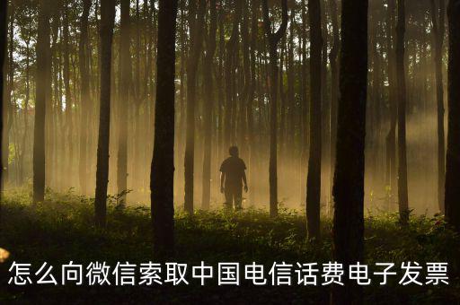 發票幫公眾號如何使用，9月1號預付微信公眾號300元9月6號收到發票要怎么做賬