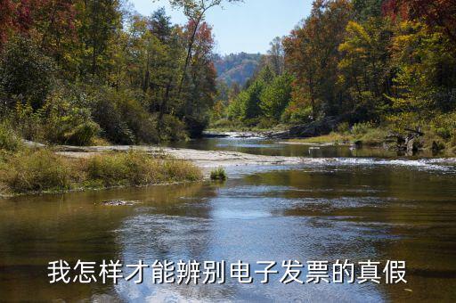 我怎樣才能辨別電子發票的真假
