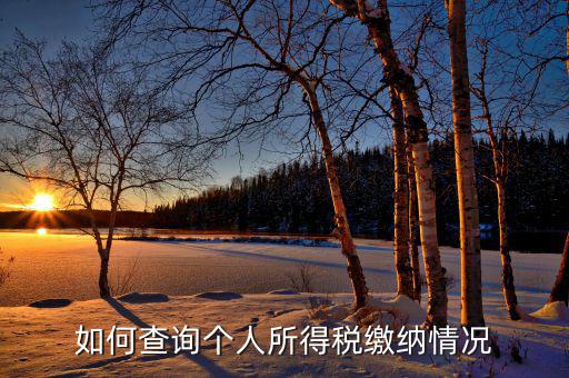 如何查詢自己交稅情況，個人繳稅記錄怎么查詢
