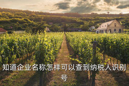 知道企業名稱怎樣可以查到納稅人識別號