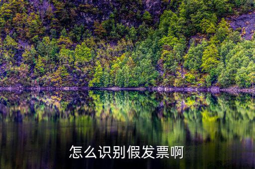 怎么識別假發票啊