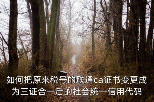 如何把原來稅號的聯通ca證書變更成為三證合一后的社會統一信用代碼