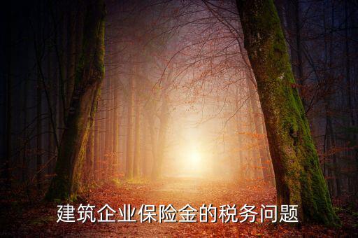 保險公司稅務管理如何處理，建筑企業保險金的稅務問題