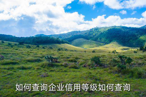 如何查詢企業是否a級，如何查詢企業信用等級如何查詢