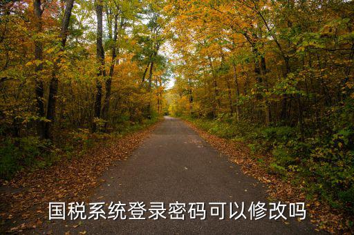 國稅系統登錄密碼可以修改嗎