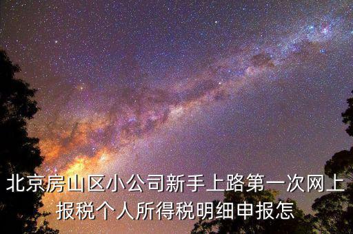 北京房山區小公司新手上路第一次網上報稅個人所得稅明細申報怎