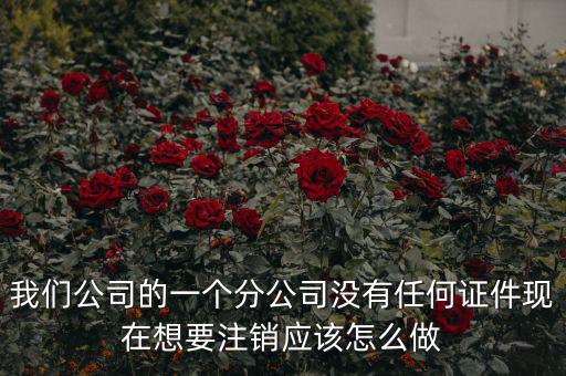 我們公司的一個分公司沒有任何證件現在想要注銷應該怎么做