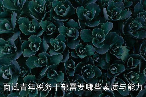 稅務年輕干部如何培養，面試青年稅務干部需要哪些素質與能力