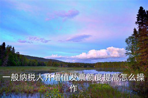 如何提高開票限額申請，一般納稅人開增值發票額度提高怎么操作