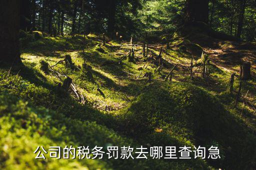 如何查稅收違法記錄，公司的稅務(wù)罰款去哪里查詢(xún)急