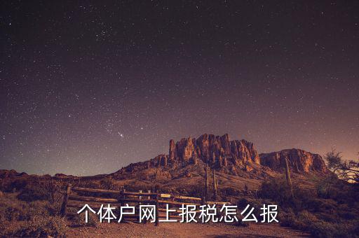 個體戶網上報稅怎么報