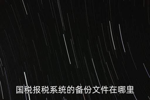 國稅報稅系統的備份文件在哪里