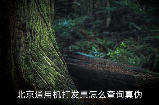 北京通用機打發票怎么查詢真偽