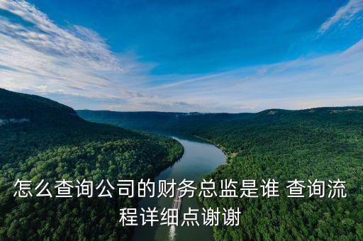怎么查詢公司的財務總監是誰 查詢流程詳細點謝謝